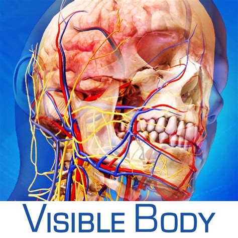 身體部位圖|Visible Body Human Anatomy Atlas (人體解剖圖譜) 2021